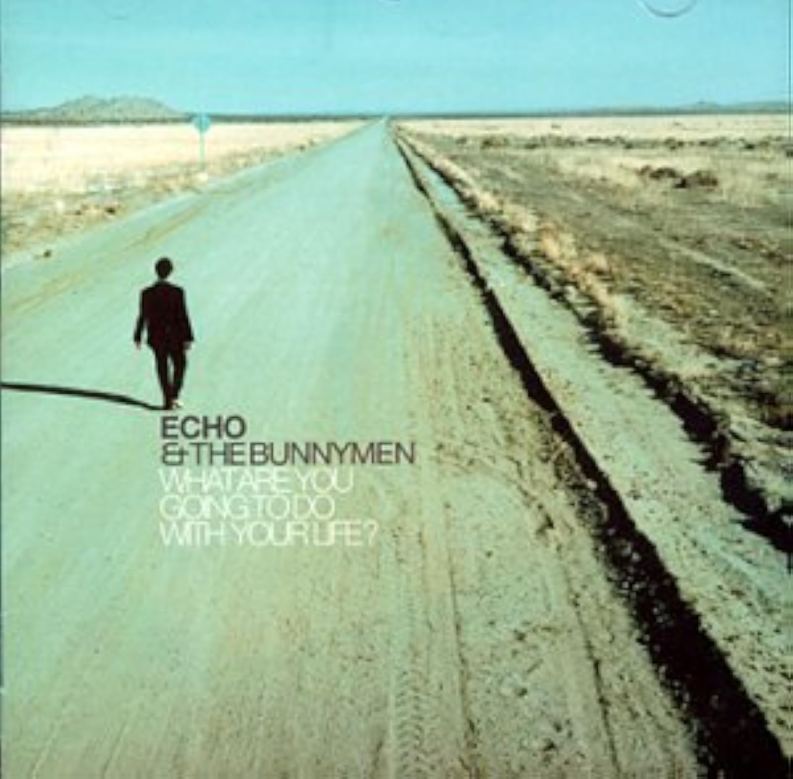 What Are You Going To Do With Your Life? By Echo And Bunnymen On Audio