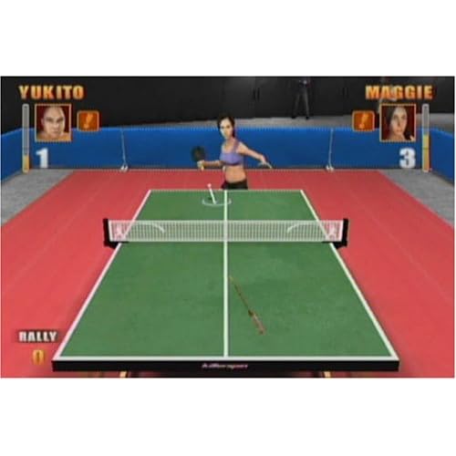 Image 3 of Balls Of Fury For Wii And Wii U