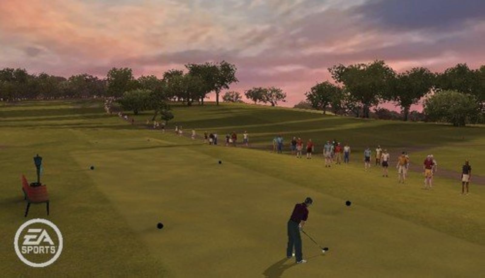 Image 3 of Tiger Woods PGA Tour 10 For Wii Golf With Case