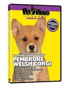Image 0 of Pet Video Library Pet Video Pembroke Welsh Corgi On DVD Movie