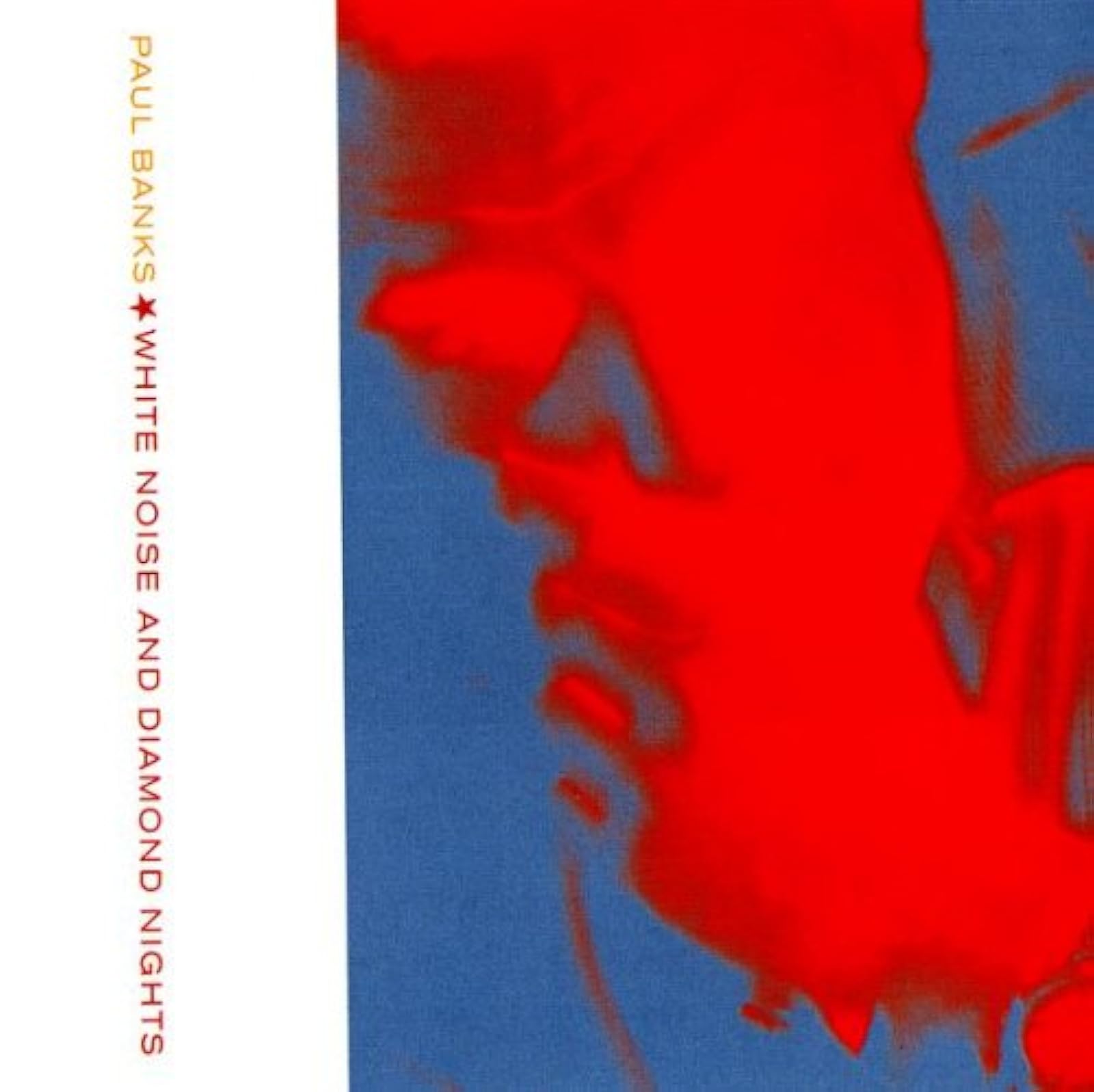 Image 0 of White Noise And Diamond Nights' By Paul Banks Album 2013 On Audio CD