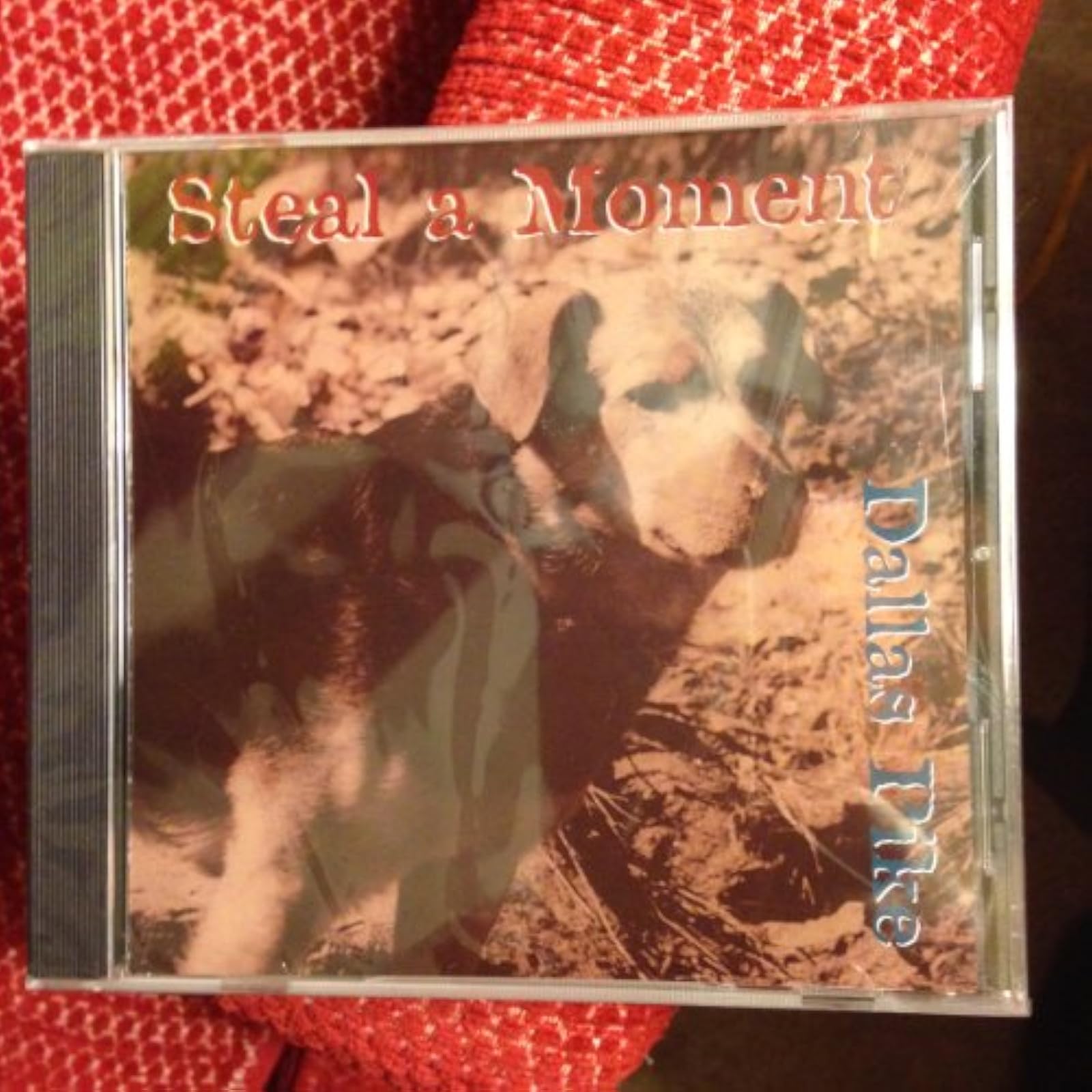 Steal A Moment: Dallas Pike By Carl Arden Chris Lynch DC Sam And Bob