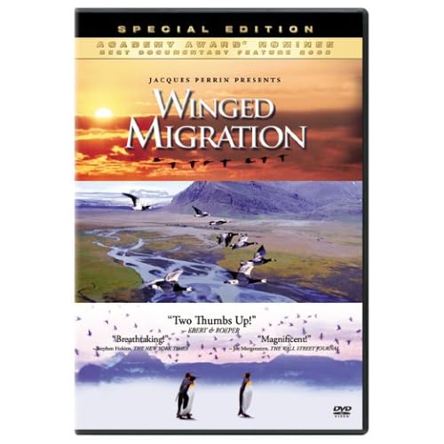 Winged Migration On DVD with Jacques Perrin