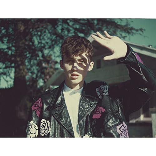 Image 3 of Blue Neighbourhood Deluxe Edition By Troye Sivan On Audio CD Album 201