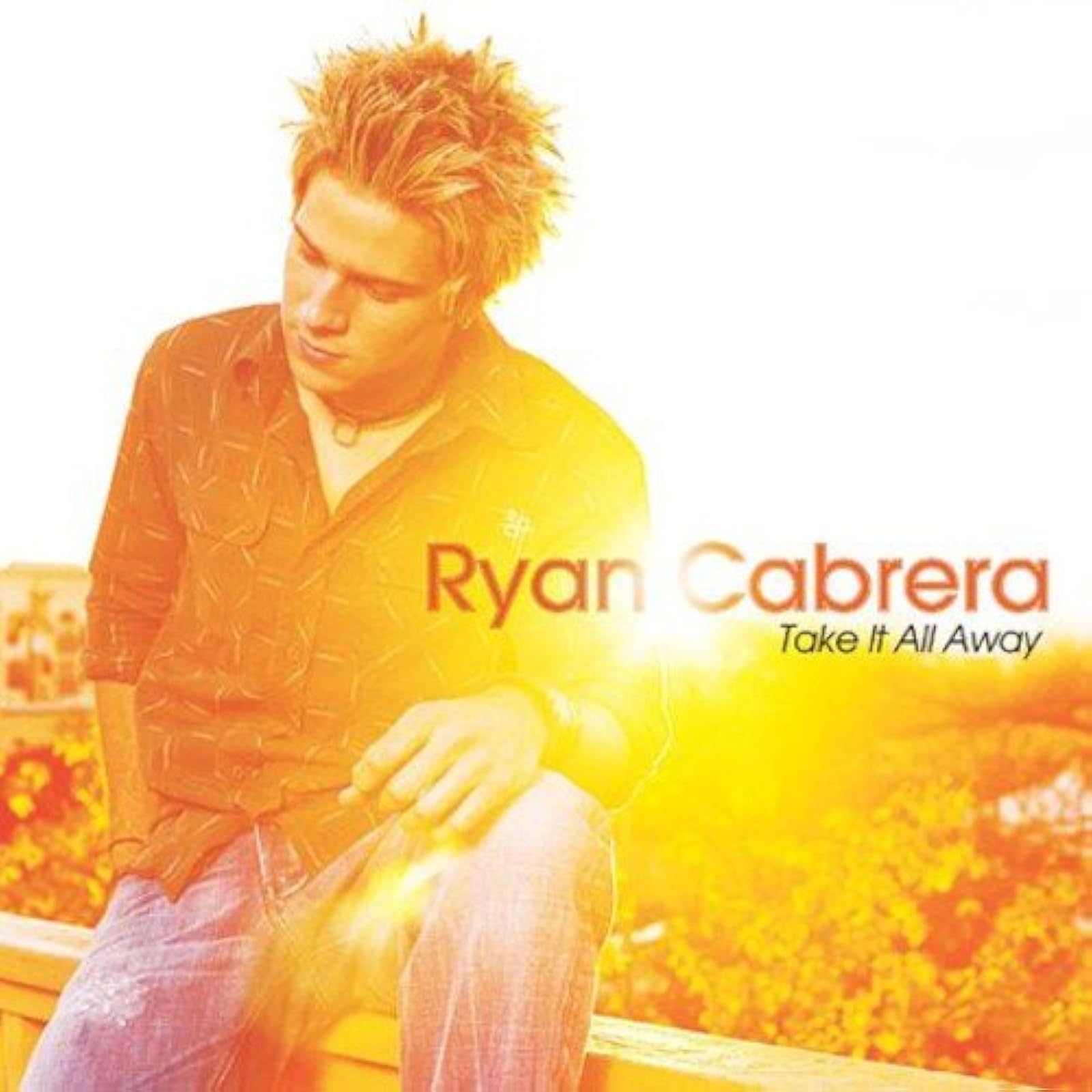 Image 0 of Take It All Away By Cabrera Ryan On Audio CD Album 2004