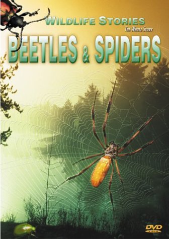 Wildlife Stories The Whole Story: Beetles And Spiders DVD On DVD Movie