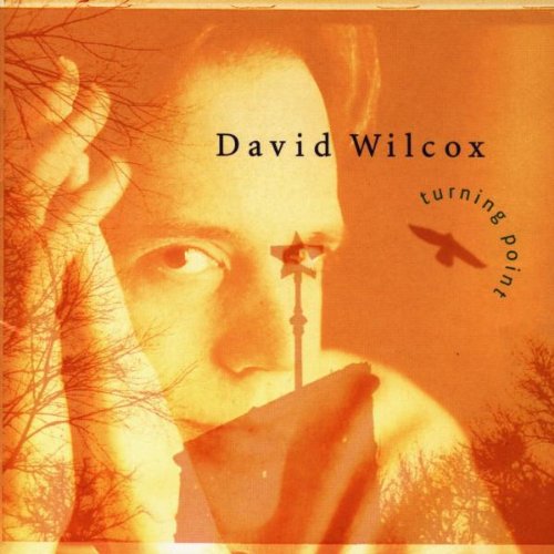 Image 0 of Turning Point By David Wilcox On Audio CD Album Black 2007