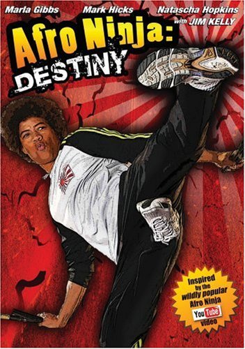 Afro Ninja: Destiny On DVD With Marla Gibbs Mark Hicks Natascha