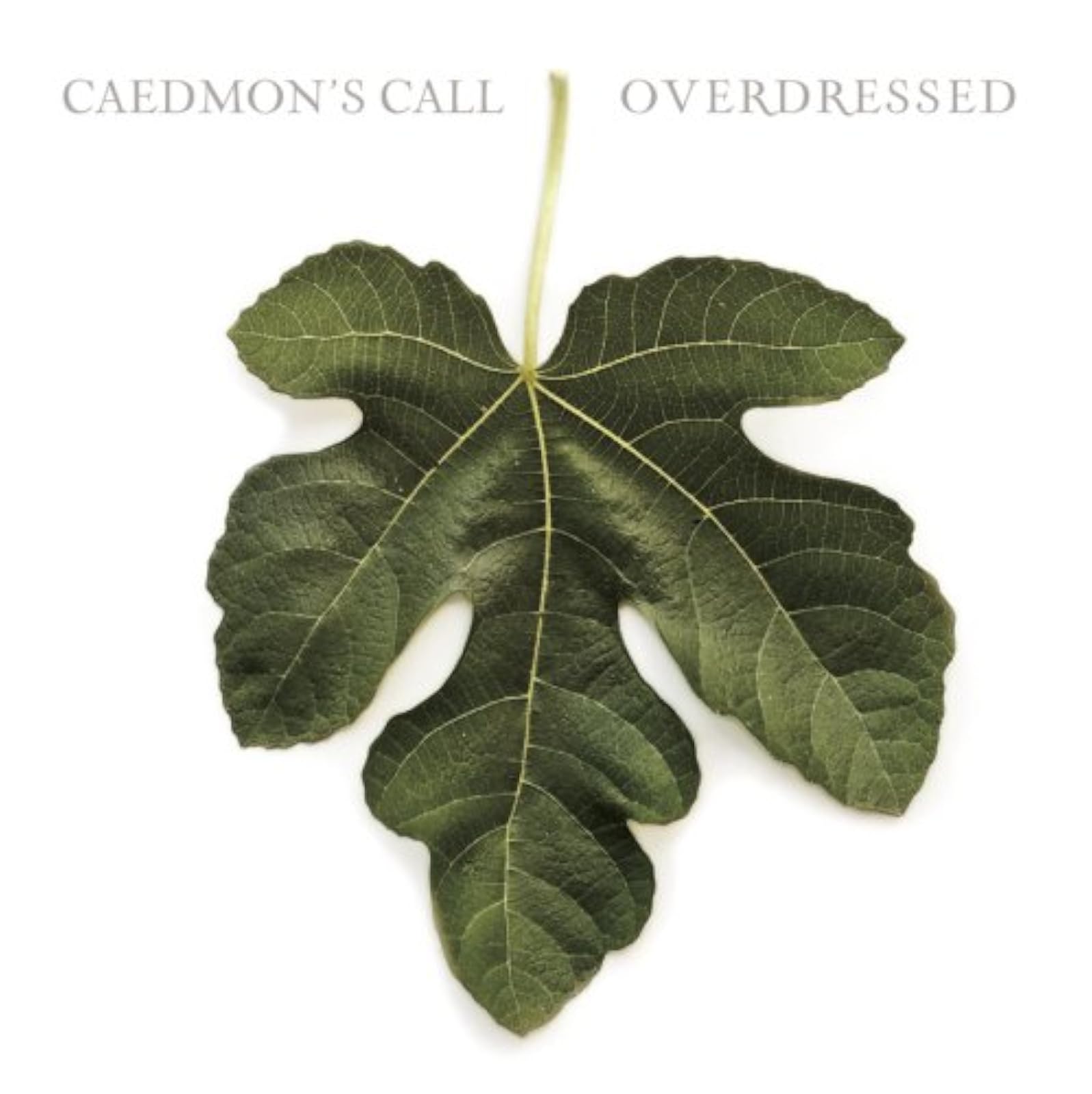 Overdressed By Caedmon^s Call On Audio CD Album 2007