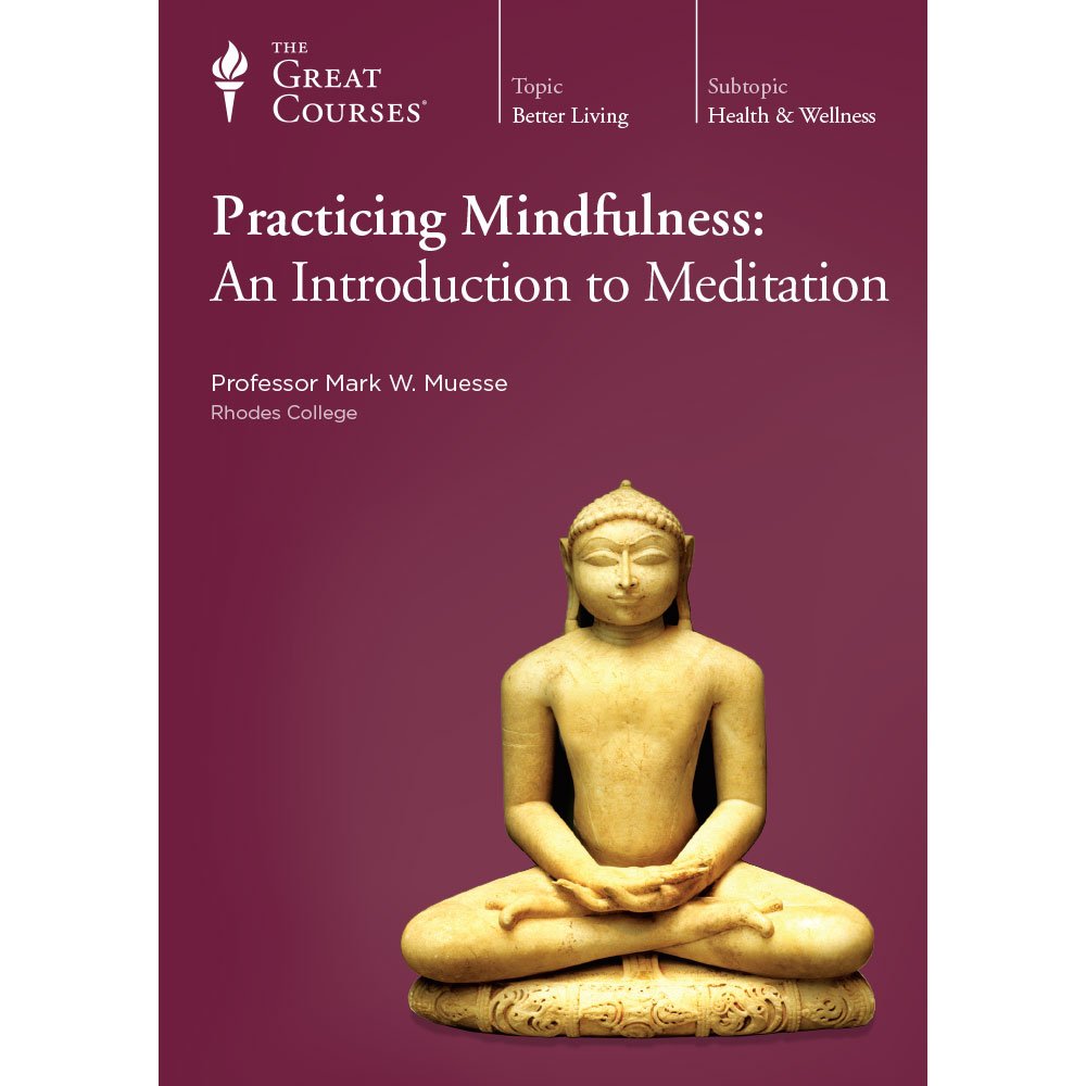 Practicing Mindfulness: An Introduction To Meditation On DVD