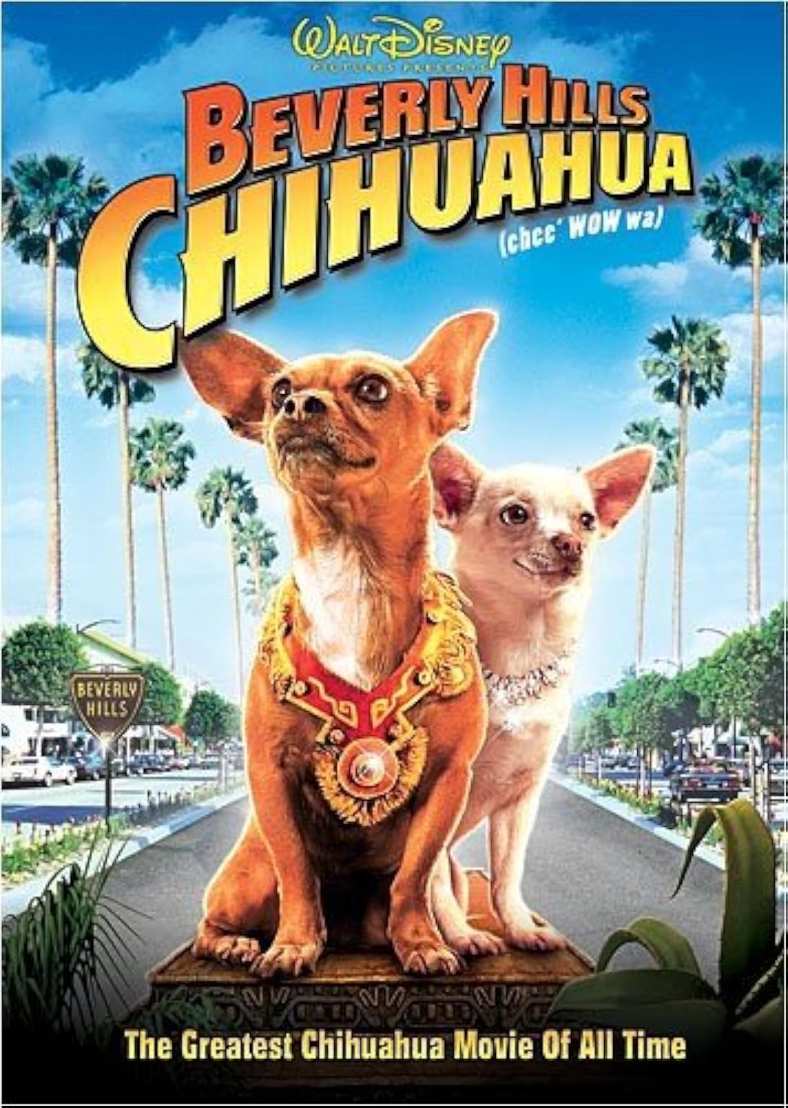 Image 0 of Beverly Hills Chihuahua On DVD With Jaime Lee Curtis George Lopez Drew Barrymore