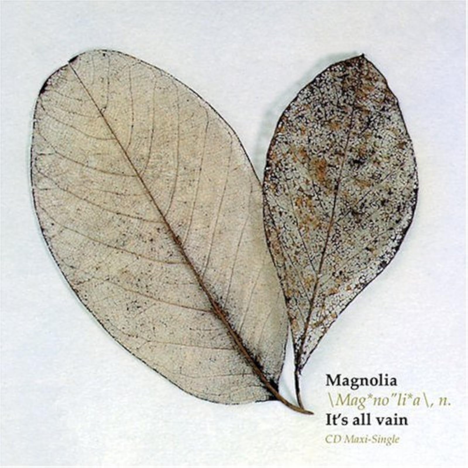 It^s All In Vain By Magnolia 2004 On Audio CD Album