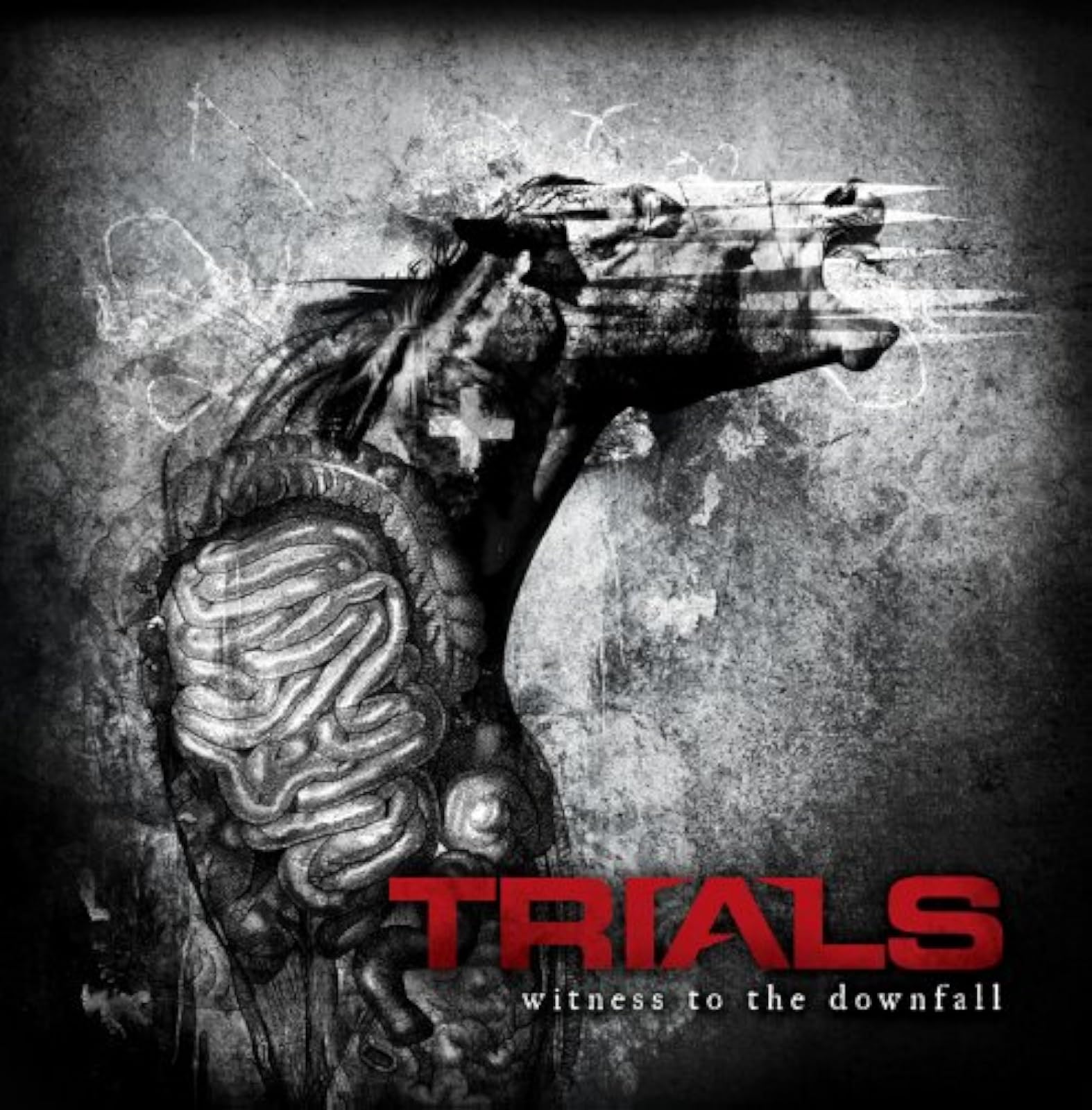 Witness To The Downfall By Trials On Audio CD Metal
