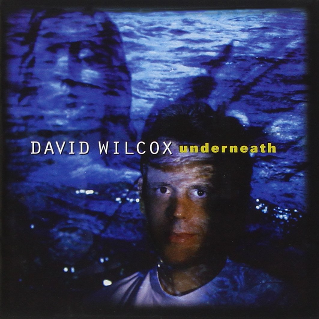Underneath By David Wilcox On Audio CD Album Black 2007