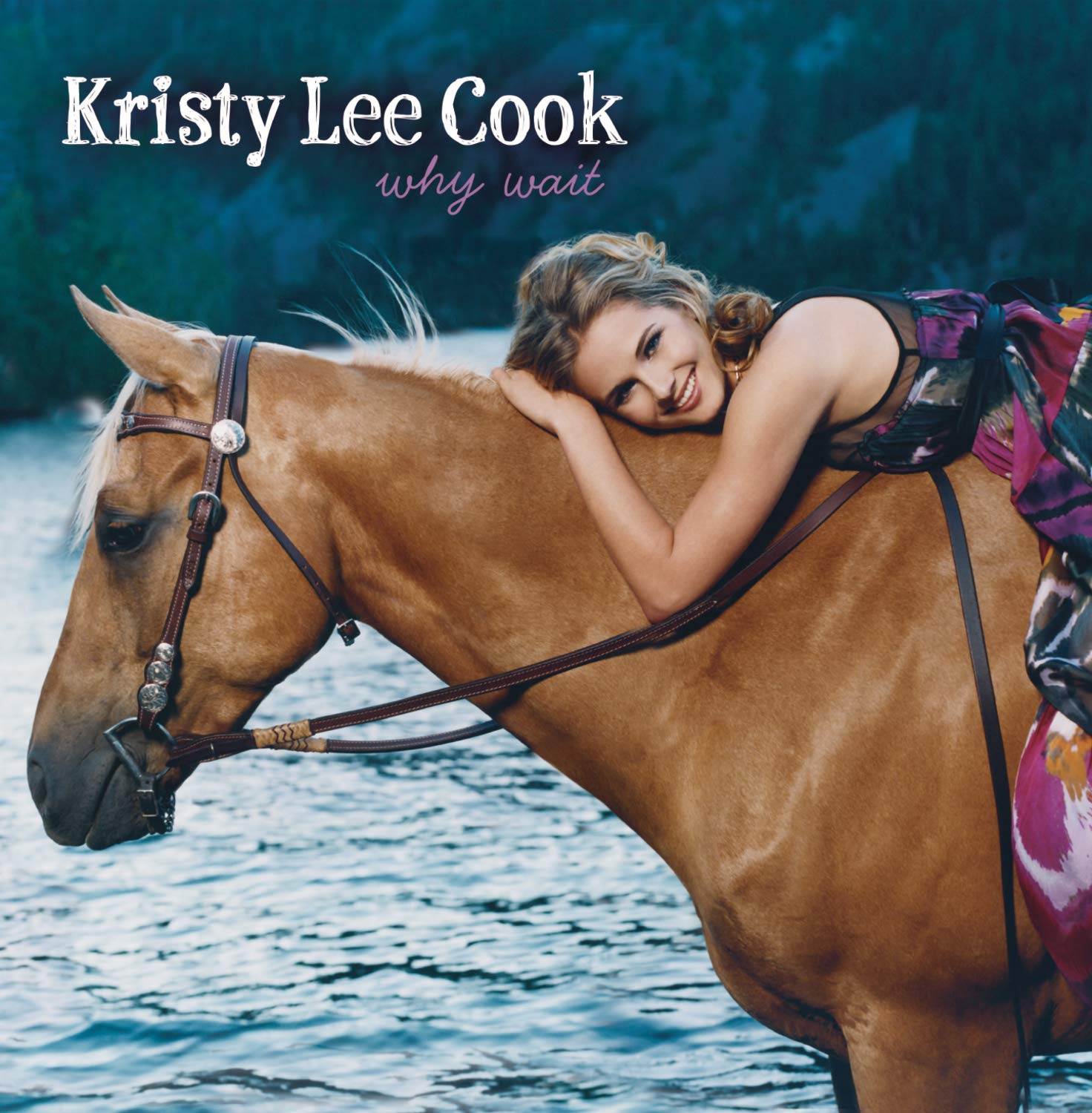 Why Wait By Kristy Lee Cook On Audio CD Album Black 2008