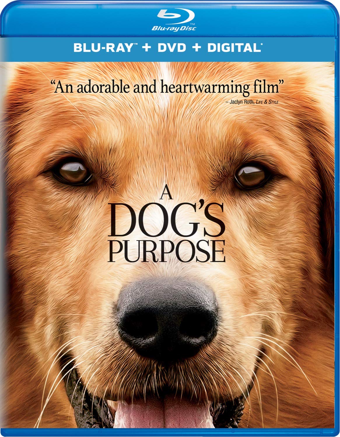 A Dog's Purpose On Blu-Ray With Britt Robertson Drama Movie