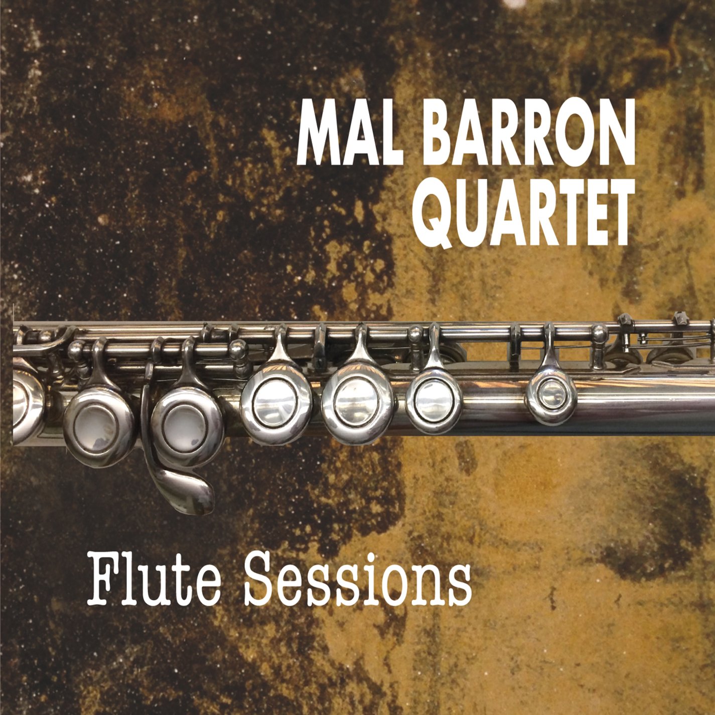 Flute Sessions On Audio CD Album Black 2017