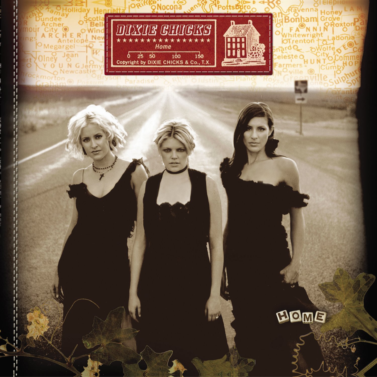 Home By Dixie Chicks On Audio CD Album Black 2007
