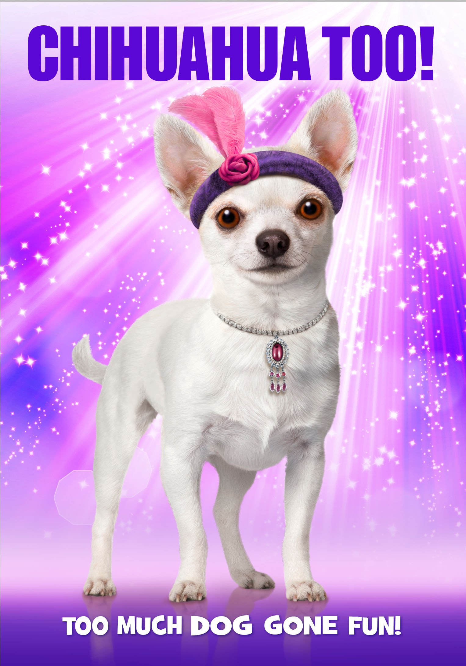 Chihuahua Too! On DVD With Jaclyn Becker