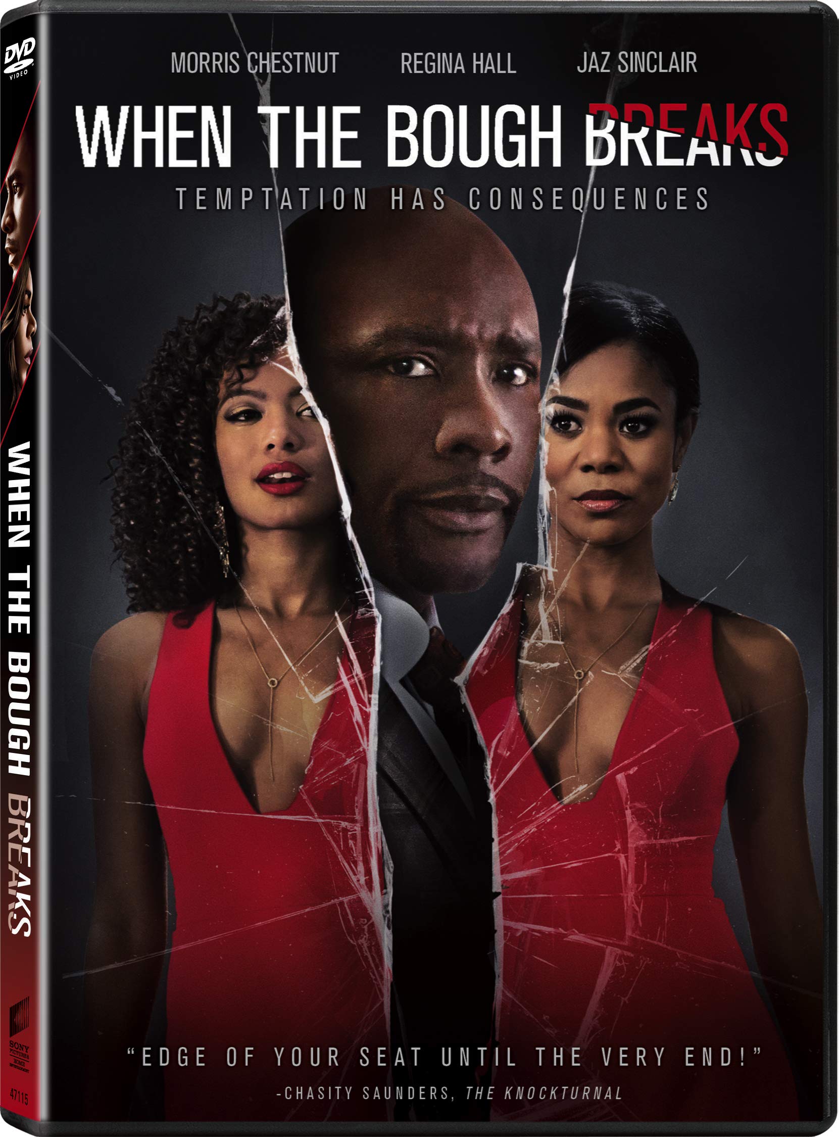 When The Bough Breaks On DVD With Morris Chestnut Mystery Movie