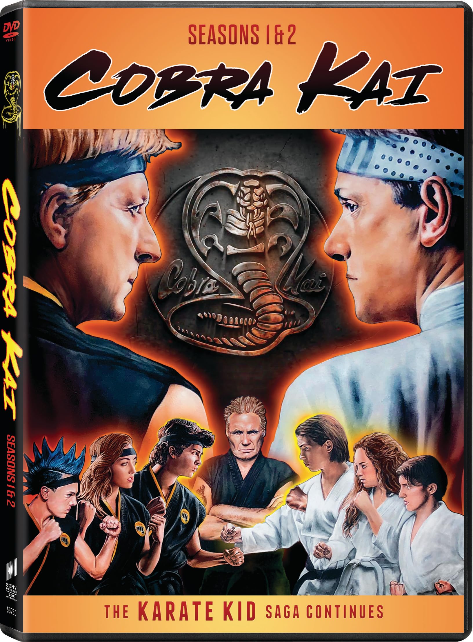 Cobra Kai Season 01 / Cobra Kai Season 02 Set On DVD With Macchio
