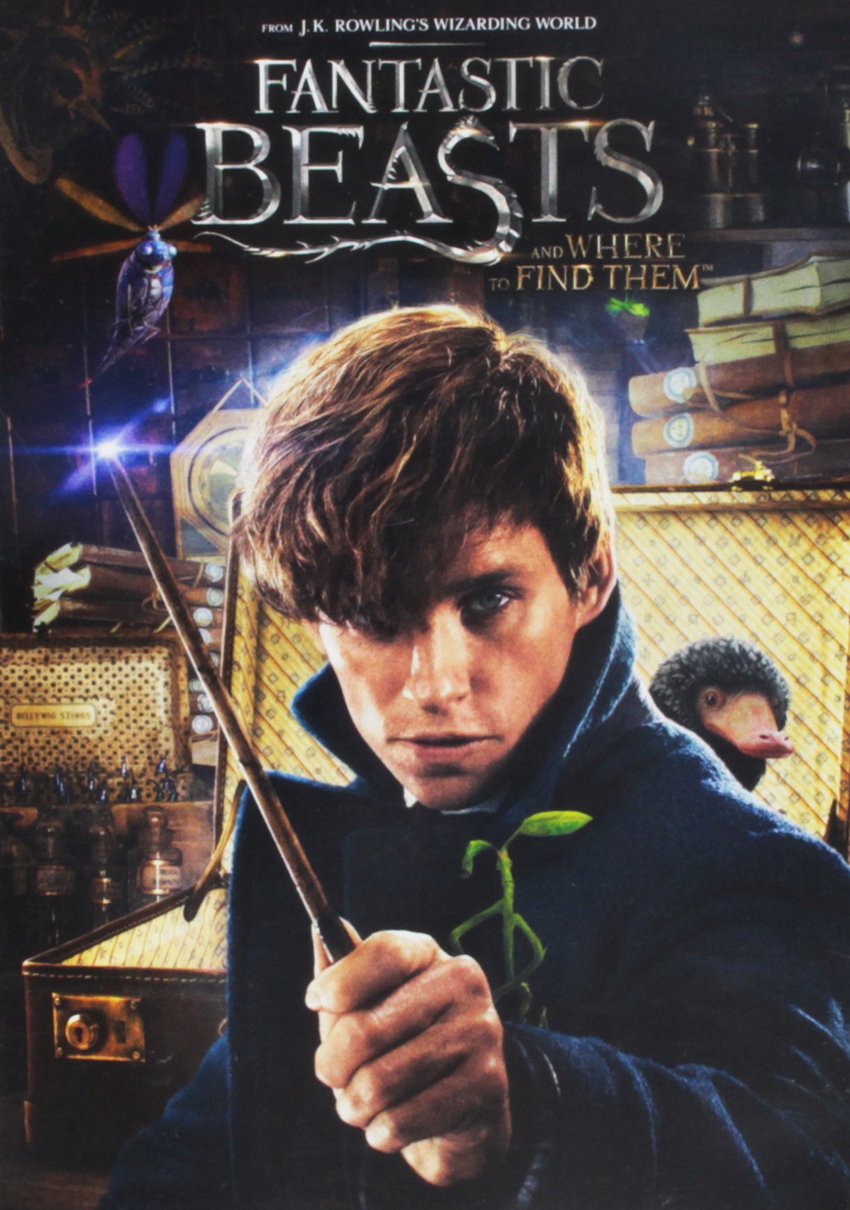 Fantastic Beasts And Where To Find Them On DVD With Eddie Redmayne Dan