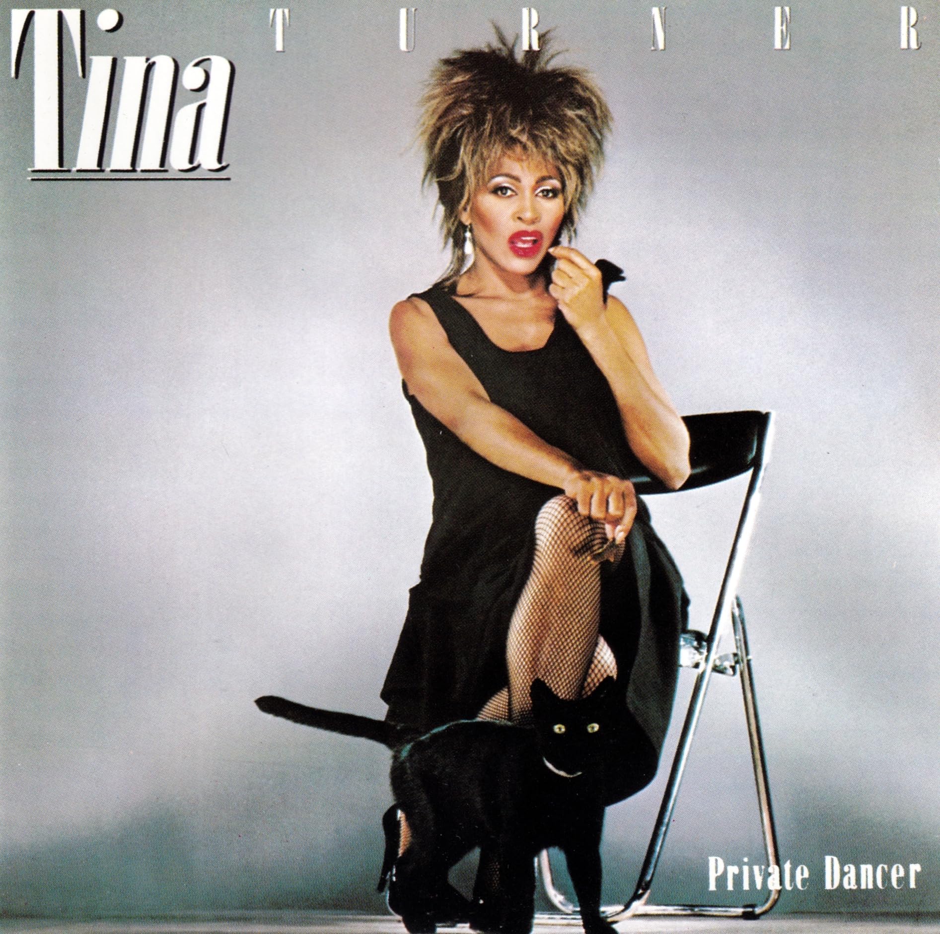 Private Dancer By Tina Turner On Audio CD Album 2006