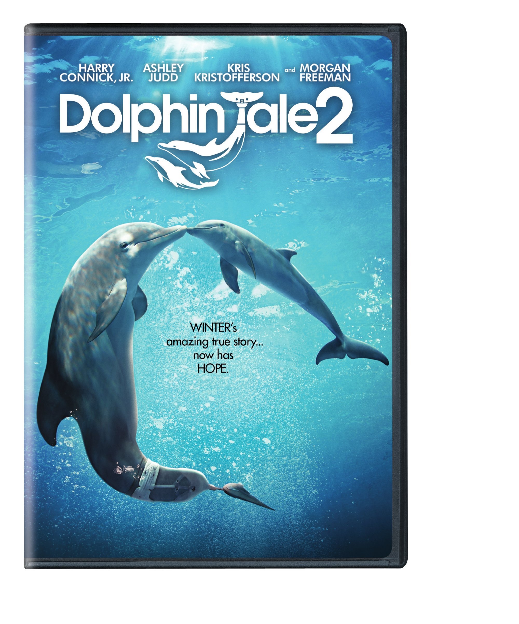 Image 0 of Dolphin Tale 2 On DVD With Harry Connick Jr Morgan Freeman Ashley Judd